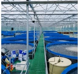Advanced Aquaculture Projects
