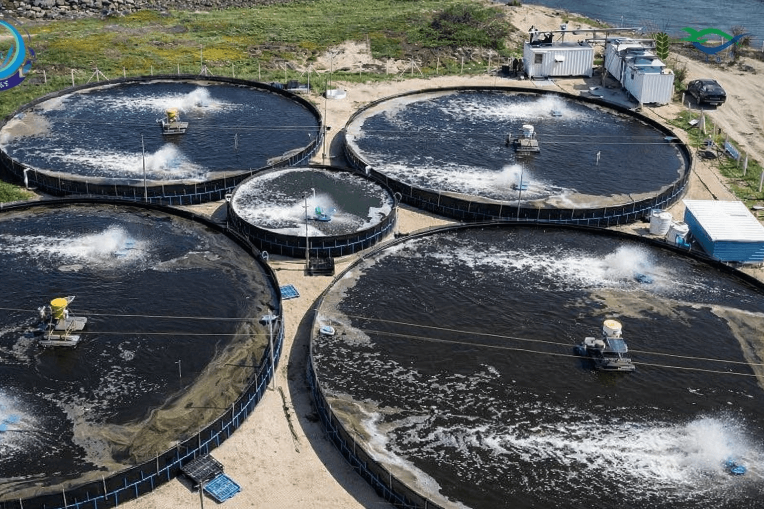 Industrial Water Treatment