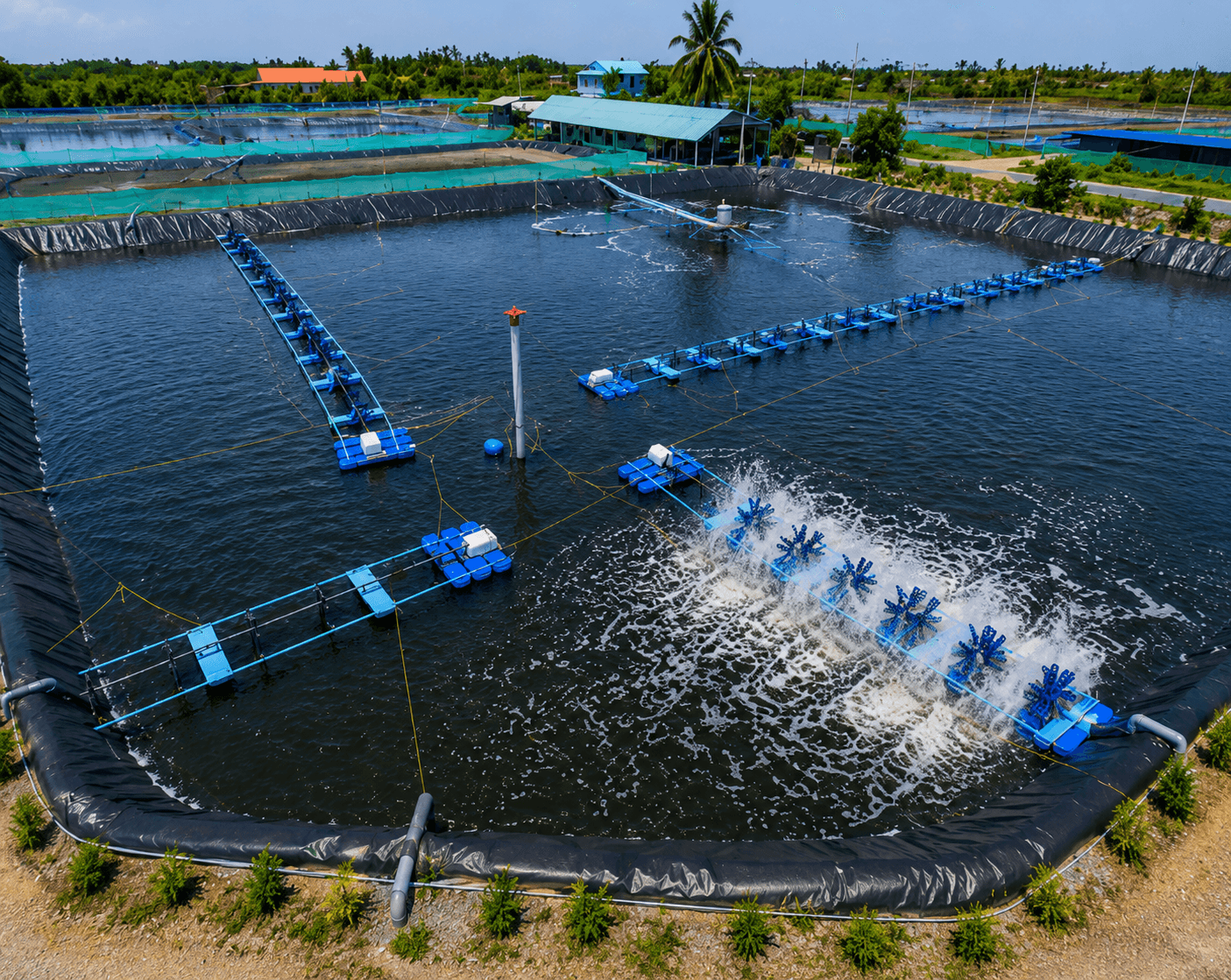 Shrimp Farming Setup Pond by ARK AQUATECH India