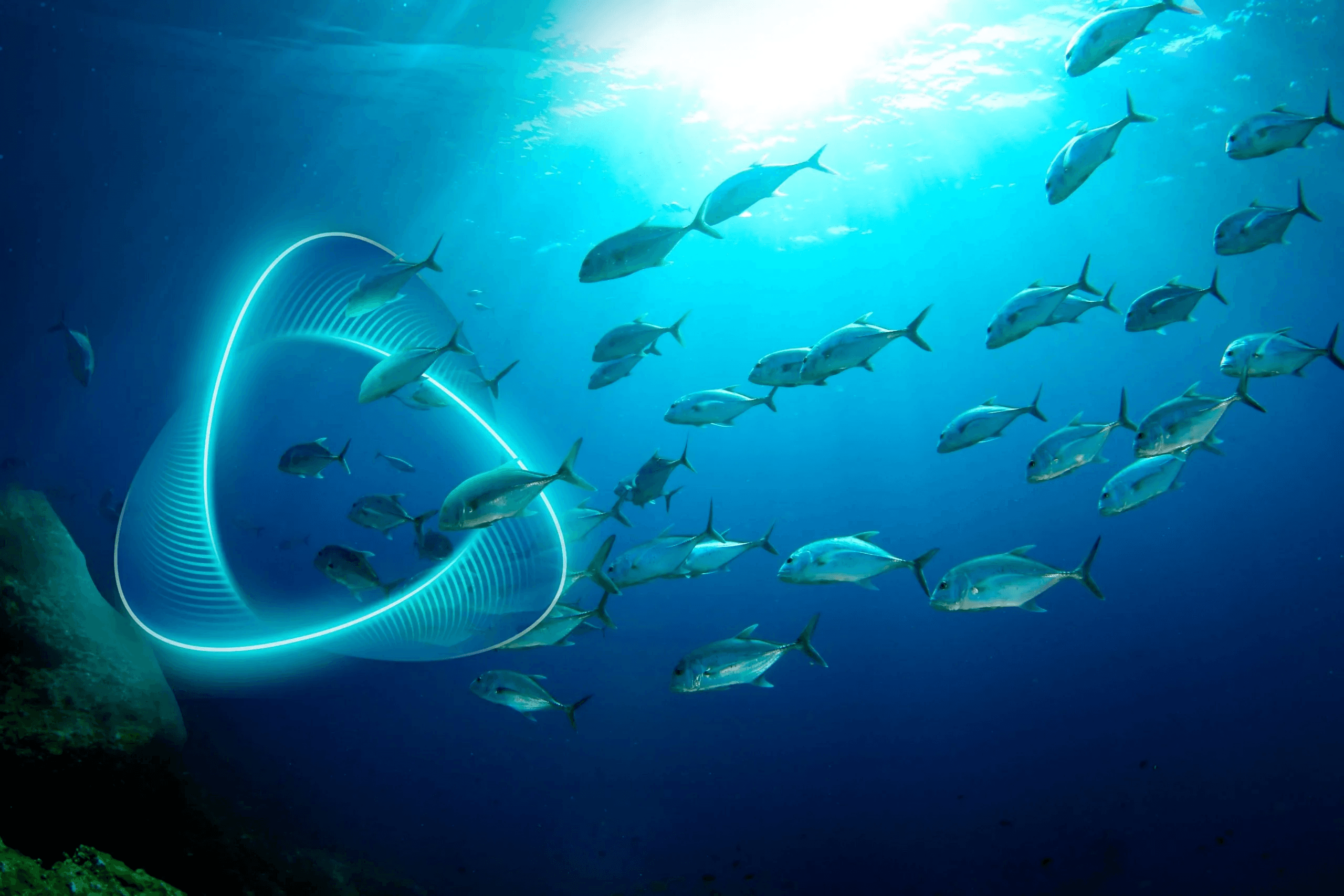 ARK AQUATECH smart aquaculture engineering and infrastructure