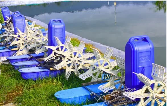 Aquaculture Equipment Solutions