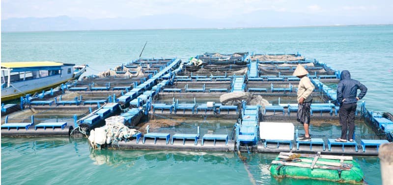 Aquaculture Training & Operational Support
