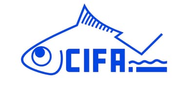 CIFA
