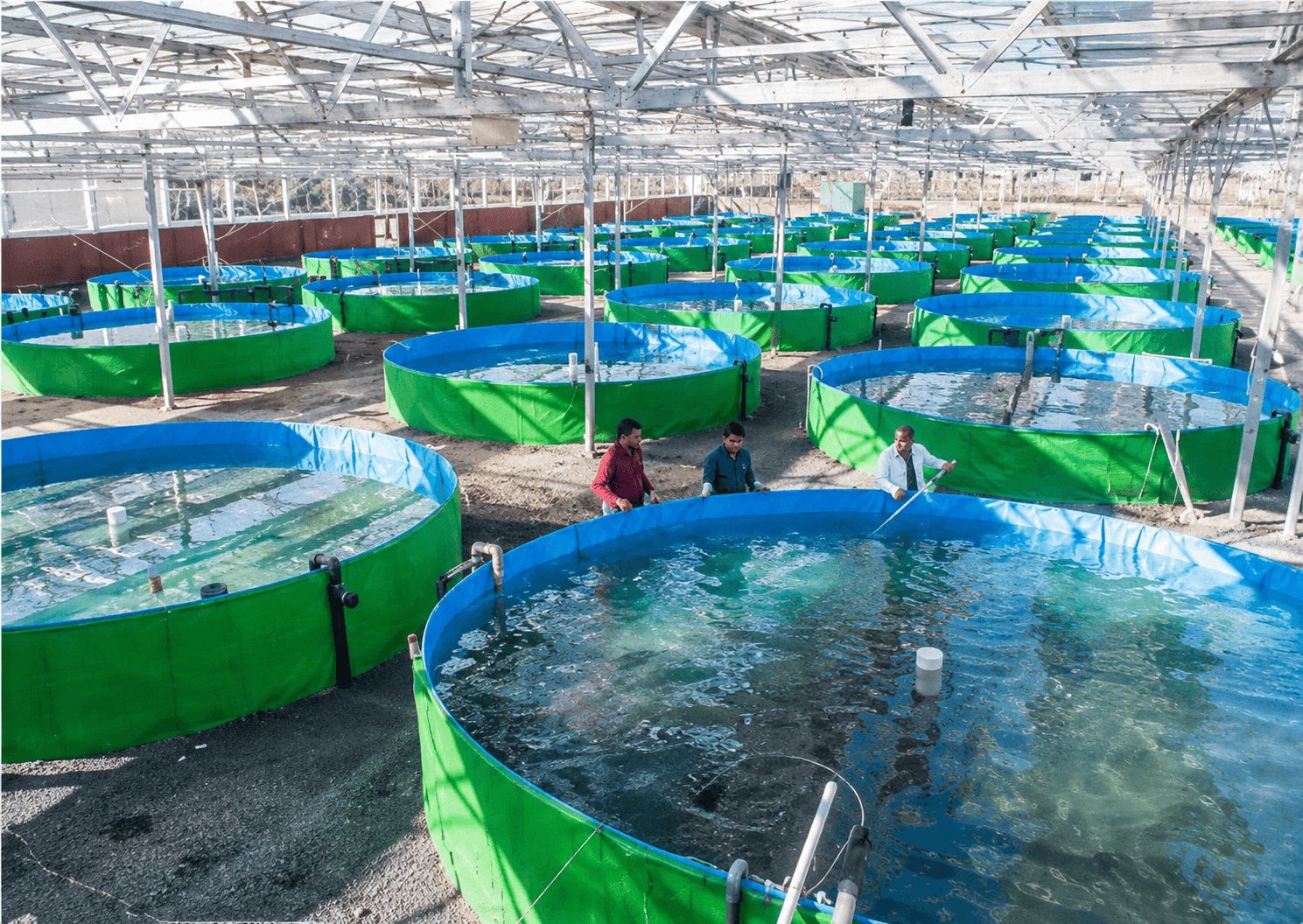 Biofloc Fish Farming Tank Setup by ARK AQUATECH India