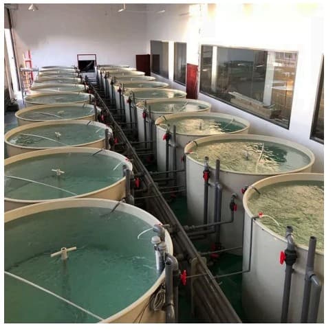 RAS Systems