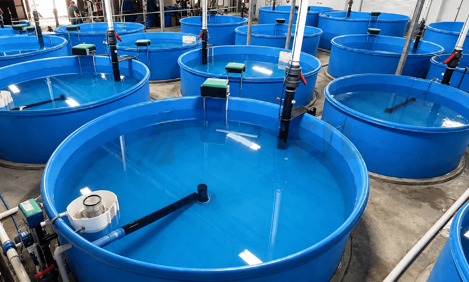 RAS Aquaculture System Tank Setup by ARK AQUATECH India